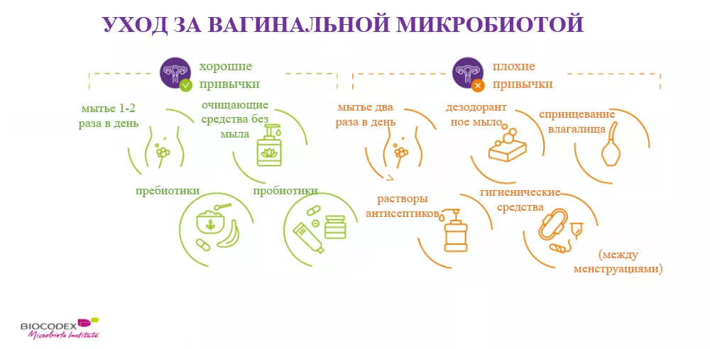 Микробиоценоз влагалища и факторы, влияющие на его состояние